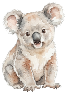 Koala