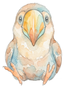 Toekan